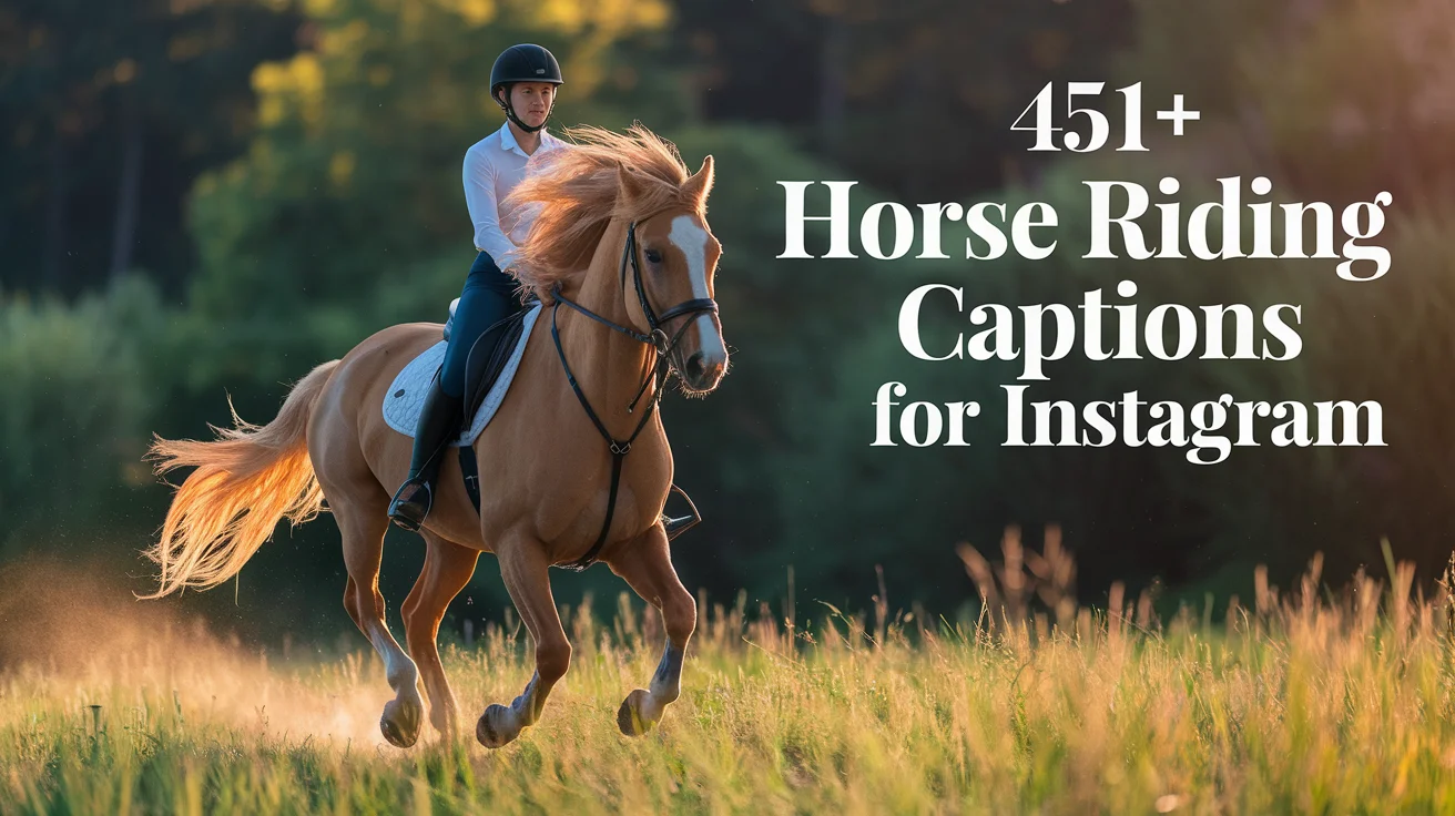 Horse Riding Captions For Instagram