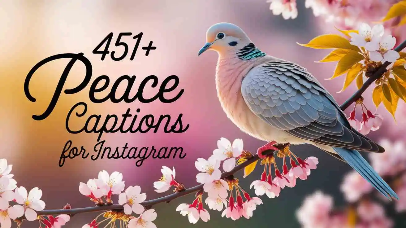 Peace Captions for Instagram