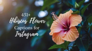 Hibiscus Flower Captions for Instagram: