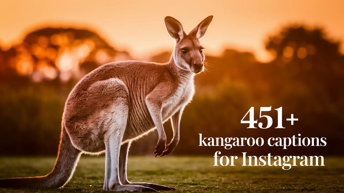 Kangaroo Captions For Instagram