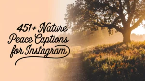 Nature Peace Captions for Instagram