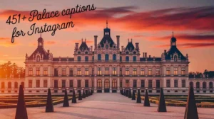 Palace Captions For Instagram